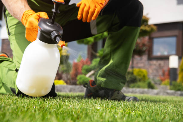 Best Affordable Pest Control Services  in Hebron Estates, KY
