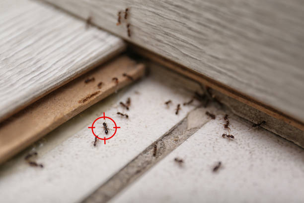 Pest Control Cost in Hebron Estates, KY