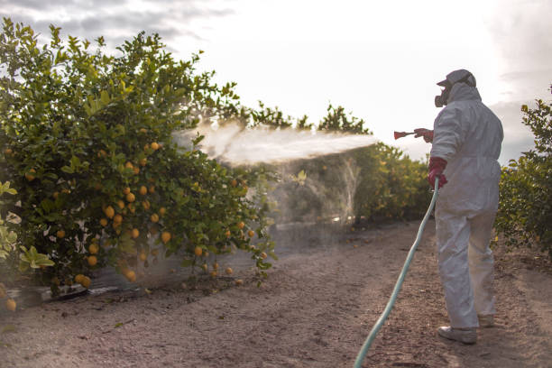 Best Residential Pest Control  in Hebron Estates, KY