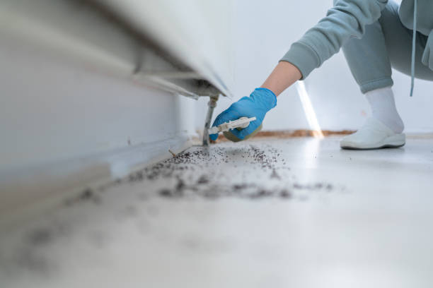 Best Exterminator Services  in Hebron Estates, KY
